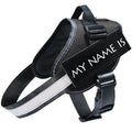 Reflective Dog Leash, Dog Leash, Dog Harness - Harbor Goods