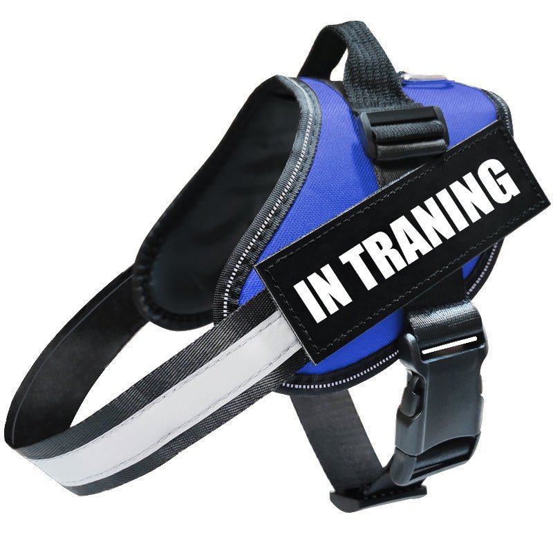 Reflective Dog Leash, Dog Leash, Dog Harness - Harbor Goods