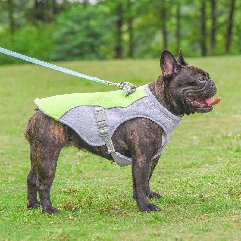 Summer Pet Dog Cooling Vest Heat Resistant Cool Dogs Clothes Breathable Sun-proof Clothing For Small Large Dogs Outdoor Walking - Harbor Goods